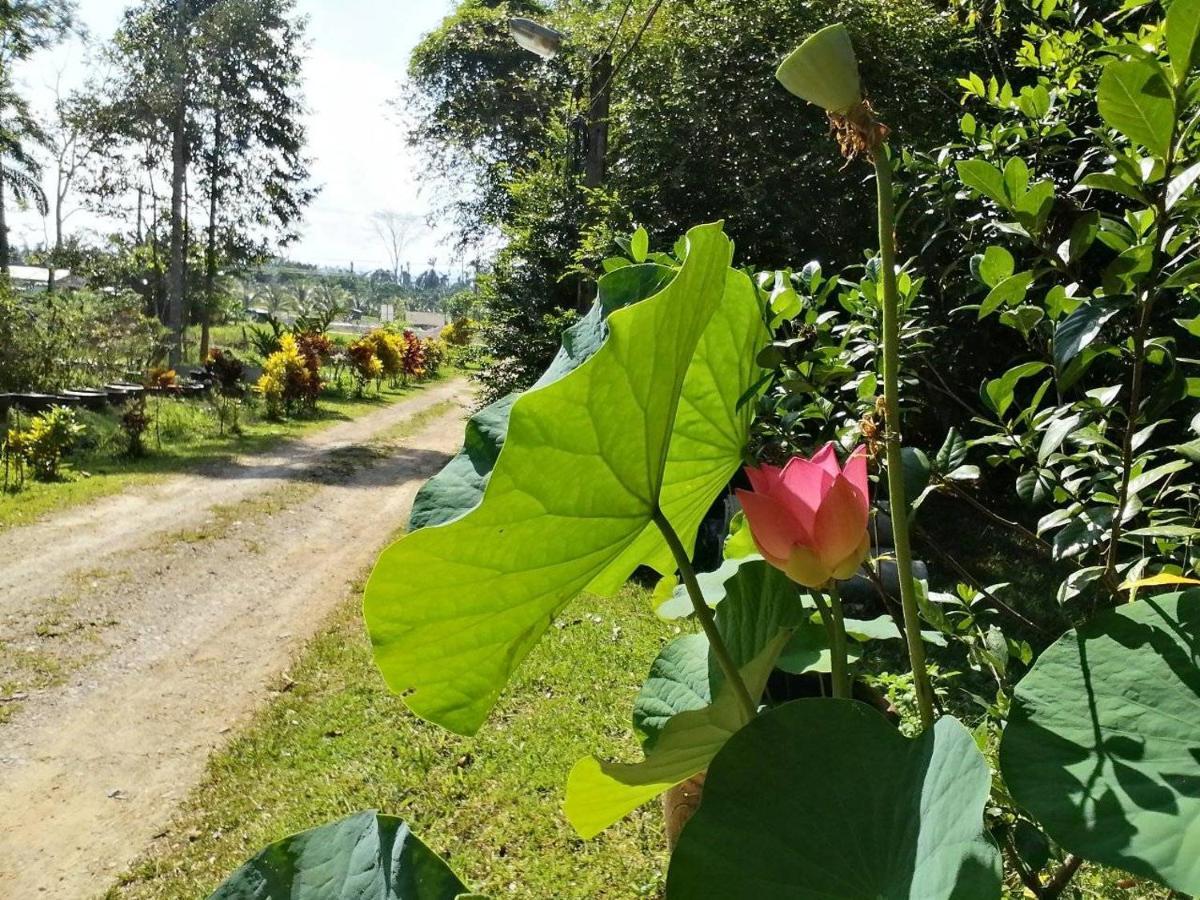 Suan Bang Bon Guest House Plai Phraya Exteriör bild